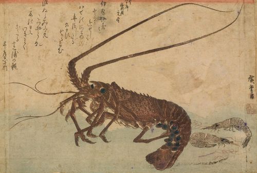 UTAGAWA HIROSHIGE I (1797-1858). Ôban yoko-e. Three sheets from the series "Uo Zukushi" a) A Scorpion- and an Isaki fish with fresh ginger. Browned and rubbed. b) A lobster and two shrimp. Browned, repaired, doubled and stained. Signed "Ichiryûsai Hiroshige ga" with kiwame seal. c) Abalone (Awabi), Mackerel Pike (Sayori) and a blossoming peach twig. Browned, cropped and doubled. Signed Ichiryûsai Hiroshige ga. (3)
