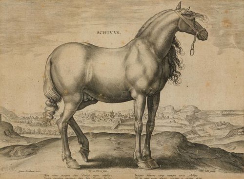 WIERIX, HIERONYMUS (1553 - 1619 Antwerp).Set of seven engravings with depictions of horses. Engravings after Johann Stradanus. Each ca. 19.5 x 26 cm (image). The engravings with engraved inscription within the image and with two-line text in margin. Each with engraved numbers left. All engravings in identical gold frame. - Even light browning and some foxing. Scattered restored tears (or creases). One sheet with small paper loss in lower text margin. All engravings with small worm hole in upper right corner. Overall fine, clearly defined impressions. - Also included: 1. Hans Collaert after Johann Stradanus. Centaur family. Engraving, 20 x 26 cm (image). Framed. 2. Anonymous, 17th century. Mula et Asinus. Engraving, 21 x 25.5 cm. Framed.