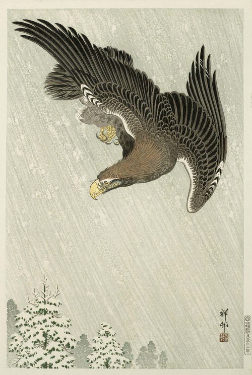 A WOODBLOCK PRINT BY OHARA KOSON (1877-1945). Oban. Eagle. Edited by Watanabe Shozaburo (Seal used 1931-41).