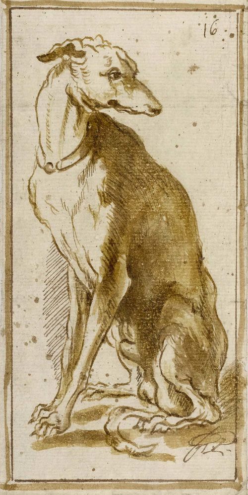 ITALIAN SCHOOL, 17TH CENTURY Greyhound. Brown pen, with brown wash. Numbered upper right: 16 18.2 x 9 cm. Framed.