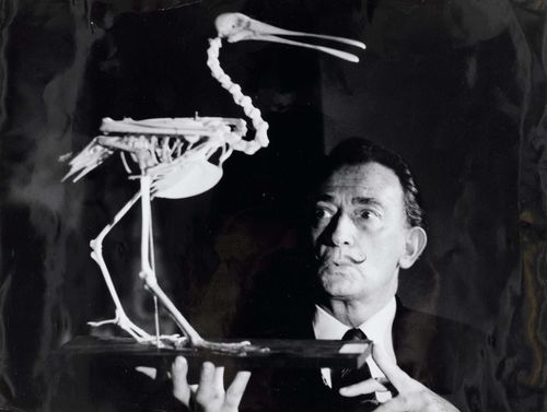 Guyaux, Jean (XX). Salvador Dalí mit Vogelskelett. Original-Photographie. Silbergelatine-Abzug. Vintage. Um 1965. 21 x 27,6 cm. Verso mit Photographen- u. Agenturstempel.