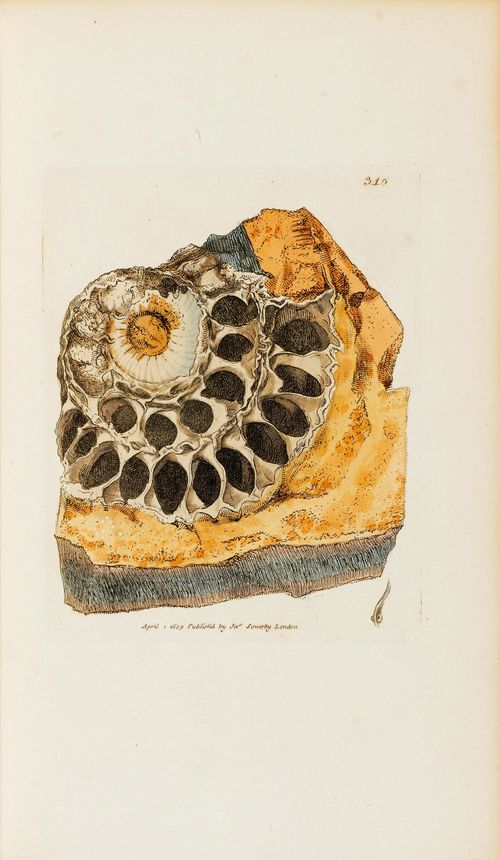 GEOLOGIE - Mineralogie - Sowerby, James. British Mineralogy: Or coloured figures intended to elucidate the Mineralogy of Great Britain. 5 B&#228;nde. Mit 550 kolor. Kupfertafeln. London, Taylor, Arding und Merrett f&#252;r den Autor, 1804-1817. Gr.-8&#176;. Sauber restaur. Lederb&#228;nde d. Z. mit je 2 R&#252;ckenschildern u. R&#252;ckenvergoldung.