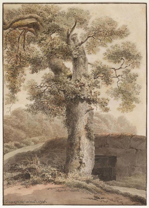 DUNKER, BALTHASAR ANTON (Saal 1746 - 1807 Bern) Old tree at a bridge, 1796 Pen and brush in grey, with watercolour. The border in black pen. Signed and dated lower left in pen: Dunker del: ad nat: 1796. 33.5 x 23.7 cm. Framed.