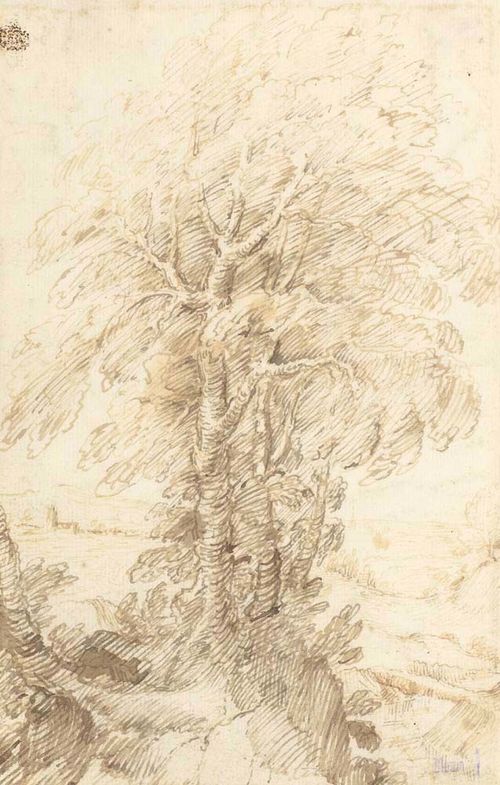 ITALIAN, 17TH CENTURY Tree study. Brown pen. 18.6 x 12 cm. Provenance: - Blome collection, Bremen (not in Lugt).