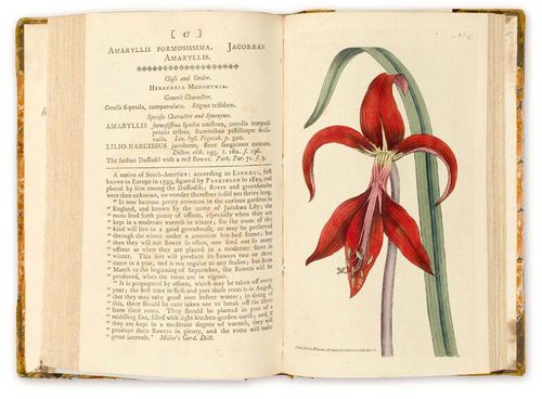 [Curtis, William]. The botanical Magazine; or, Flower-Garden displayed. In which the most ornamental plants, cultivated in the Open Ground, the Green-House, and the Stove, will be accurately represented in their natural Colours... Continued by John Sims. London, printed by Fry and Couchman for T. Curtis, 1787 - 1837. 56 vols. in 36 with index-vol. With engr. portrait frontis. and 3025 copperplates with old colouring, some folded. Cont. hf. leather with gilt spine, lrg. oct. (binding bumped and rubbed, 2 vols. re-backed, upper cover of 2 vols. loose). Nissen BBI, 2350. On hand: Vols. 1-52 in 32 vols. and index-vol. (vol. 43 is also vol. 1 of new series), with plates 1 to 2606, and vols. 60-64 in 5 vols. Vols 60 ff. by Edward Couchman for the proprietor, Samuel Curtis. In addn. 37 vols. with 3025 copperplates in old colouring. Vols. 1 to 42 are bound in 21 vols, vol 43-52 in 1 vol.