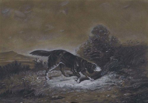 SCHLEICH, ROBERT (1845 Munich 1934). Hunting dog. Black and white chalk, opaque white on brown paper. 33.7 x 48.5 cm. Signed bottom left: R.Schleich. - Estate of Kurt Meissner Zurich.
