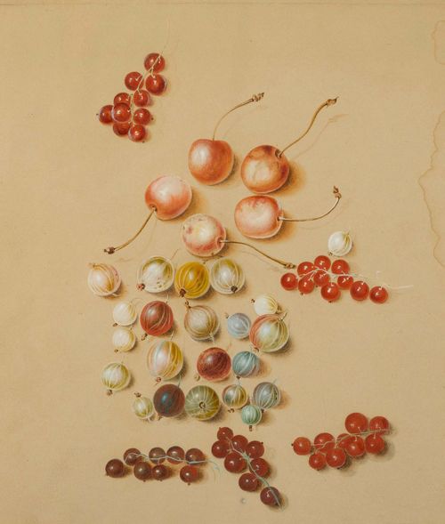 ANONYMOUS, 19TH CENTURY Study sheet with cherries, gooseberries and redcurrants. Watercolour, gouache and chalk heightened with white. 28 x 26 cm (image). In gold frame from the period.