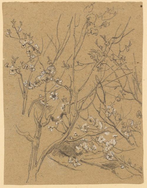 GILLE, CHRISTIAN FRIEDRICH (1805 Ballenstedt - 1899 Wahnsdorf bei Dresden) Tree in blossom. Graphite and white chalk. 18.9 x 14.3 cm.