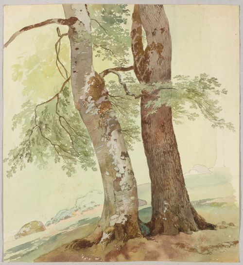 TOEPFFER, WOLFGANG ADAM (Geneva 1766 - 1847 Morillon Two trees before a hint of a landscape. Black crayon, brown pen, watercolour. 26.4 x 17 cm.