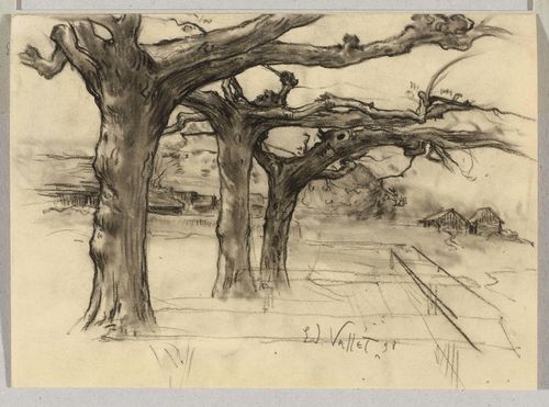 VALLET, EDOUARD EUGENE (1876 Geneva 1929) Plane trees. Black chalk. Signed and dated: Ed. Vallet 98. 17.6 x 24.2 cm.