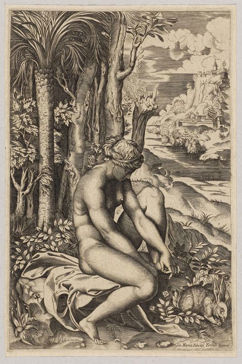 DENTE, MARCO DA RAVENNA (Ravenna 1486/1500 - 1527 Rome).Venus von einem Rosendorn verletzt.(Venus wounded by a rose thorn). Circa 1516. Copper engraving, 26.8 x 17.5 cm. Bartsch 321 II/III. Engraved inscription lower right: Giovanni Paluzzi Formis Roma. Impression circa 1600/1610. – Dark black and clearly defined impression with small margin around the clearly visible plate edge. Minor browning. Overall in very good condition.