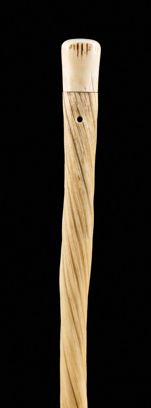 CORNE DE NARVAL