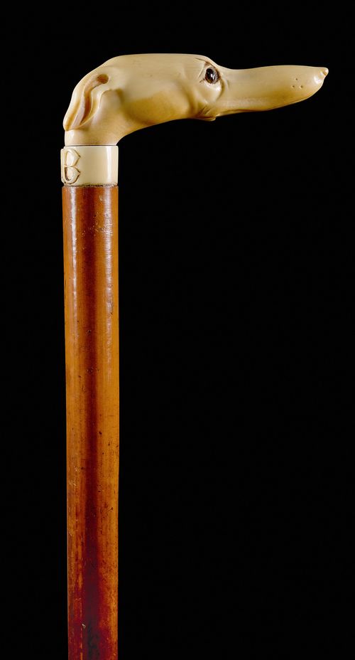 TÊTE DE LEVRIER