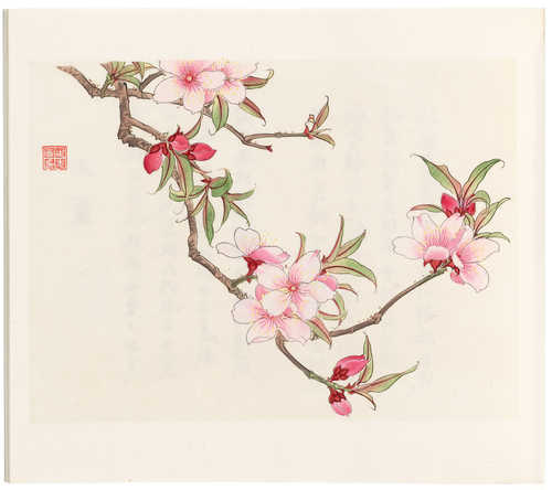 "Bai hua qi fang" (Let 100 flowers blossom).