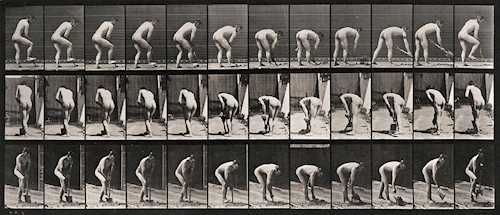 EADWEARD MUYBRIDGE