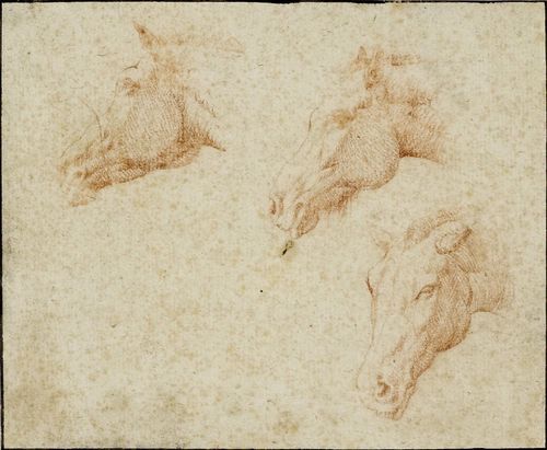 ITALIAN SCHOOL, 16TH CENTURY Study sheet with horses' heads. Red chalk. Black pen outer line. 11.1 x 13.4 cm.
