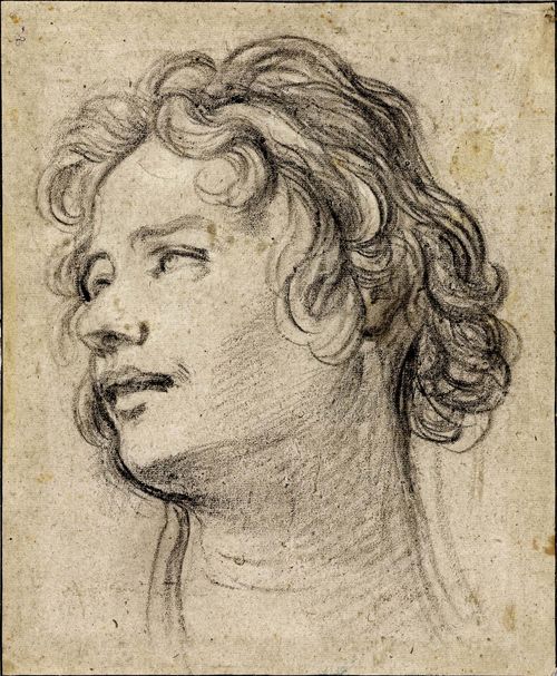 FLORENCE, CIRCA 1650 Portrait of a man with curly hair in profile to the left. Black chalk. Verso old attribution: Jac. da Empoli 30.8 x 24 cm. Provenance: - K.E.von Liphart (1808-1891), Dorpat, Bonn and Florence, Lugt 1687 - further unidentified collector's stamp verso