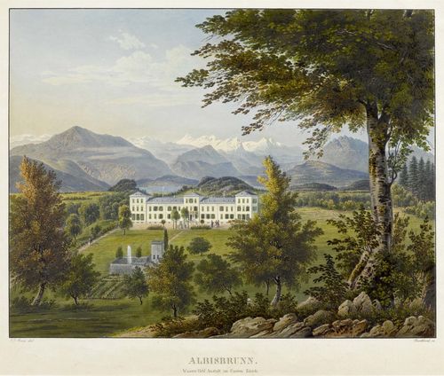 CANTON OF ZURICH.-Burkhard after Johann Jacob Meier, circa 1845. Albisbrunn. Wasser Heil Anstalt im Canton Zurich. Aquatint etching with original colour, 29 x 40 cm. Gold frame. - Very fine colour. With fresh colour and almost untouched condition.