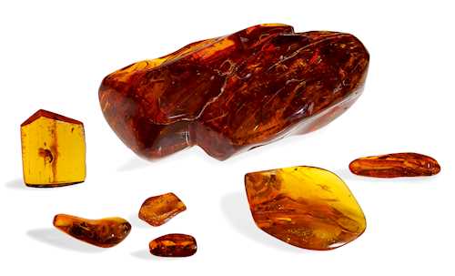 BALTIC AMBER COLLECTION