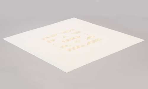 DANIEL BUREN