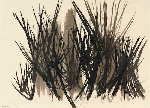 HANS HARTUNG