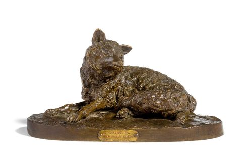 RENARD COUCHÉ.