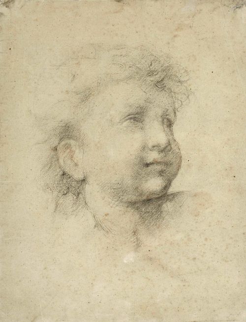 ITALIAN SCHOOL, EARLY 18TH CENTURY Head of a boy. Black chalk, with traces of brown chalk. On hand-made paper with watermark: coat of arms. 30.5 x 23.5 cm. Framed.