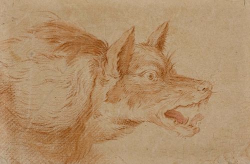 Circle of SNYDERS, FRANS (1579 Antwerp 1657), Head of a wolf. Red chalk. 11.5 x 17 cm.