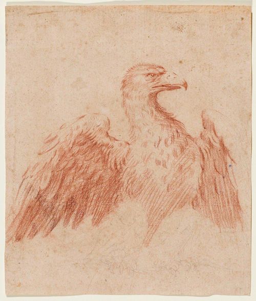 ROMAN SCHOOL, EARLY 17TH CENTURY Eagle with outspread wings. Red chalk and black chalk. On wove paper with watermark of coat of arms (Fragment). 23.2 x 20 cm. Provenance: - Collection of Herbert List, Munich , not in Lugt - Private collection, Switzerland
